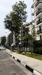 Jervois Mansion (D10), Apartment #521252851